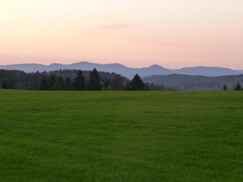 Landgasthof Zum Schwanen Hornberg Exterior photo